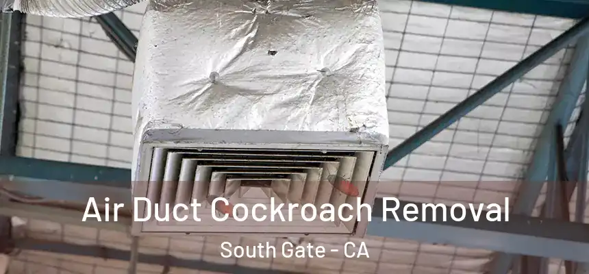 Air Duct Cockroach Removal South Gate - CA
