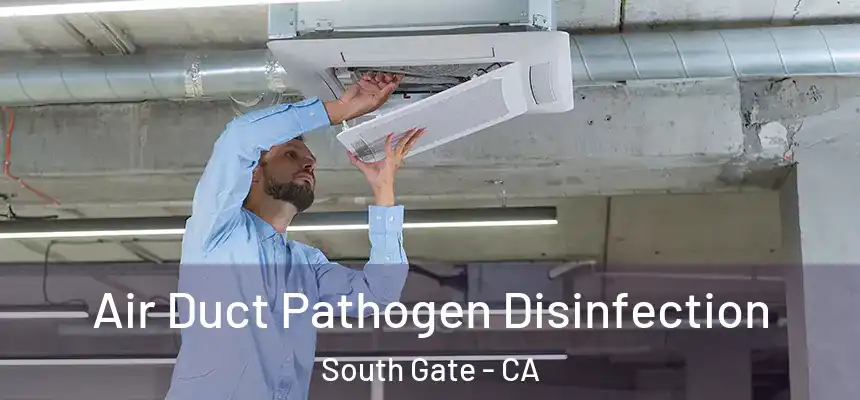 Air Duct Pathogen Disinfection South Gate - CA
