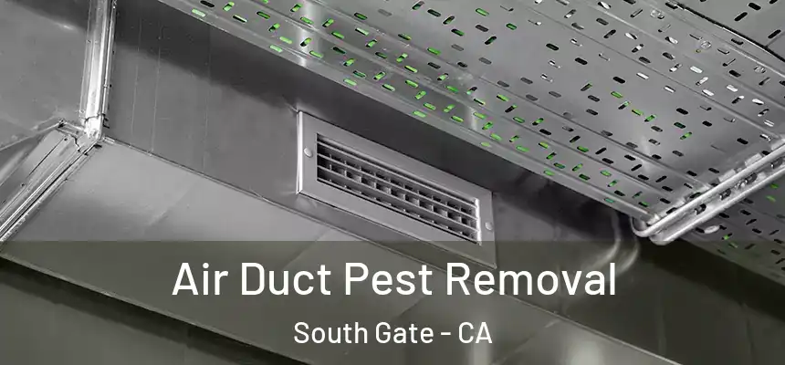 Air Duct Pest Removal South Gate - CA