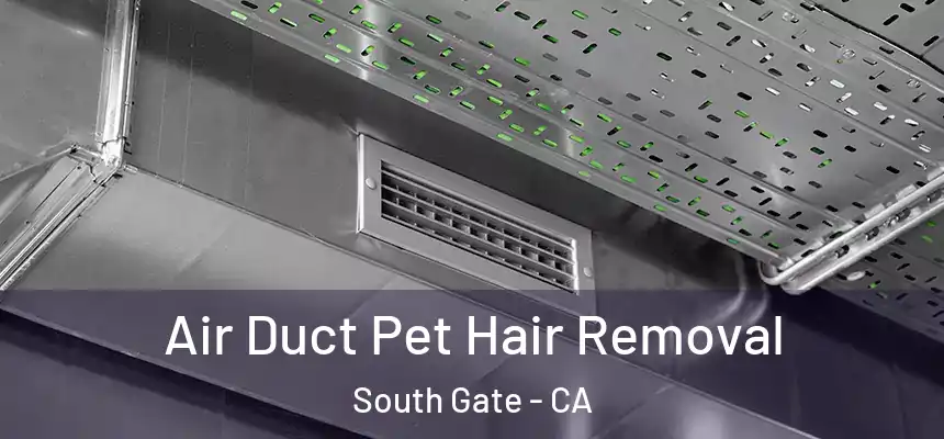 Air Duct Pet Hair Removal South Gate - CA