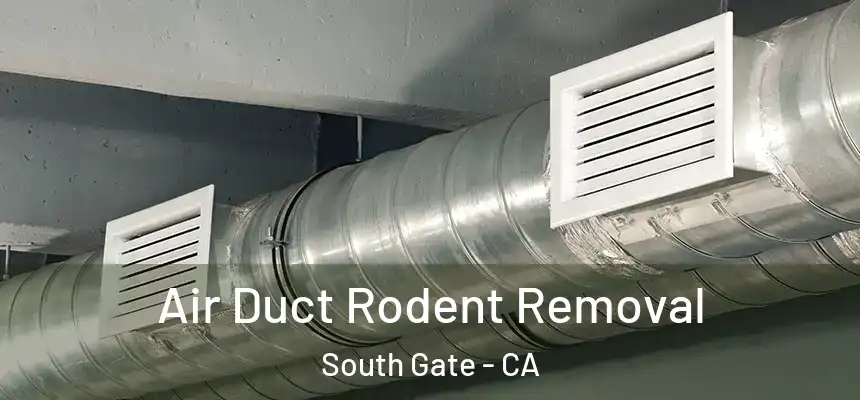 Air Duct Rodent Removal South Gate - CA
