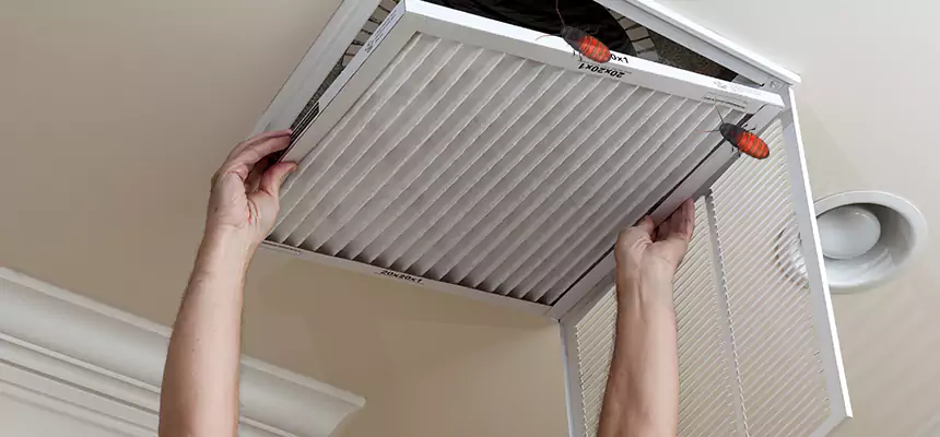 Preventive Cockroach-Proofing for Ducts in South Gate