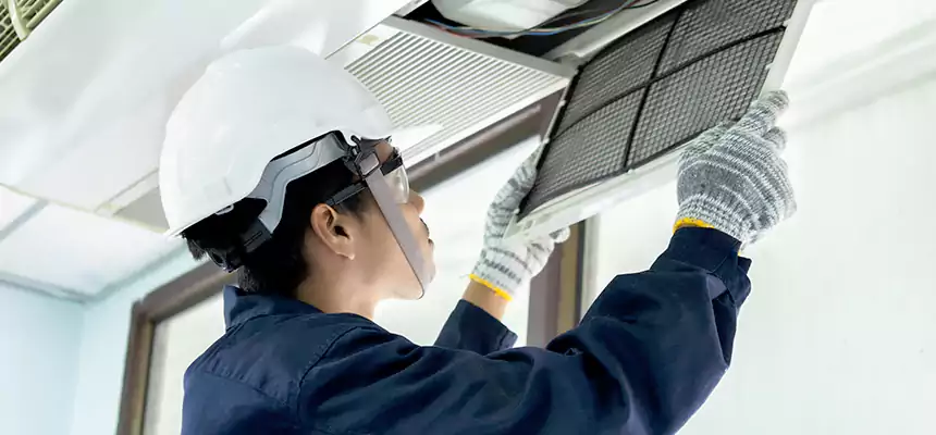 Our Mold & Mildew Removal from Air Ducts Services in South Gate, CA