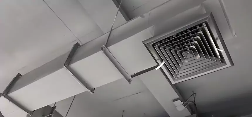 Our Pest Removal From Ducts Services in South Gate, CA