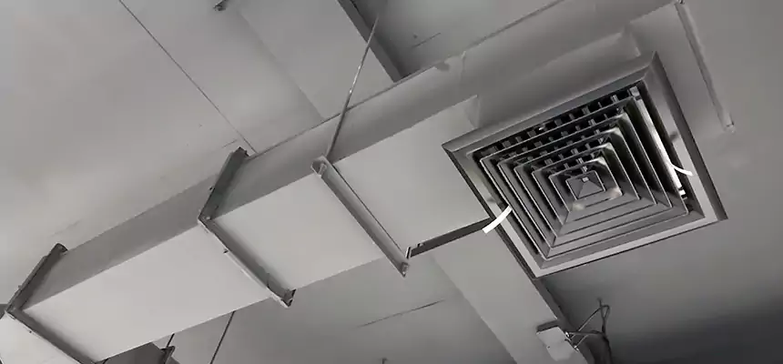 Our Rodent Droppings In Vents Services in South Gate, CA