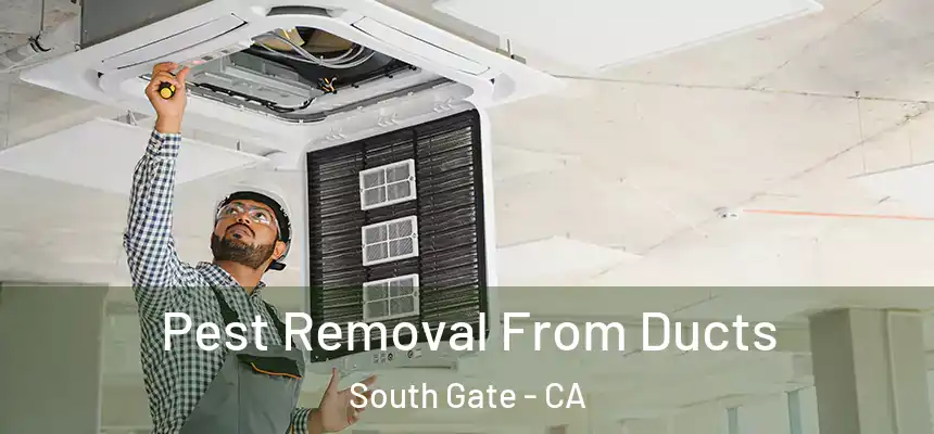 Pest Removal From Ducts South Gate - CA