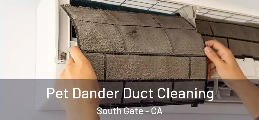 Pet Dander Duct Cleaning South Gate - CA