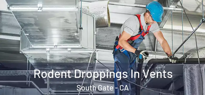 Rodent Droppings In Vents South Gate - CA