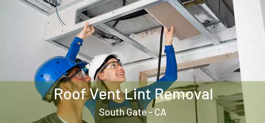 Roof Vent Lint Removal South Gate - CA