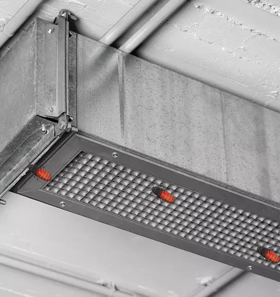 Affordable Insect Removal from Air Ducts in South Gate, CA