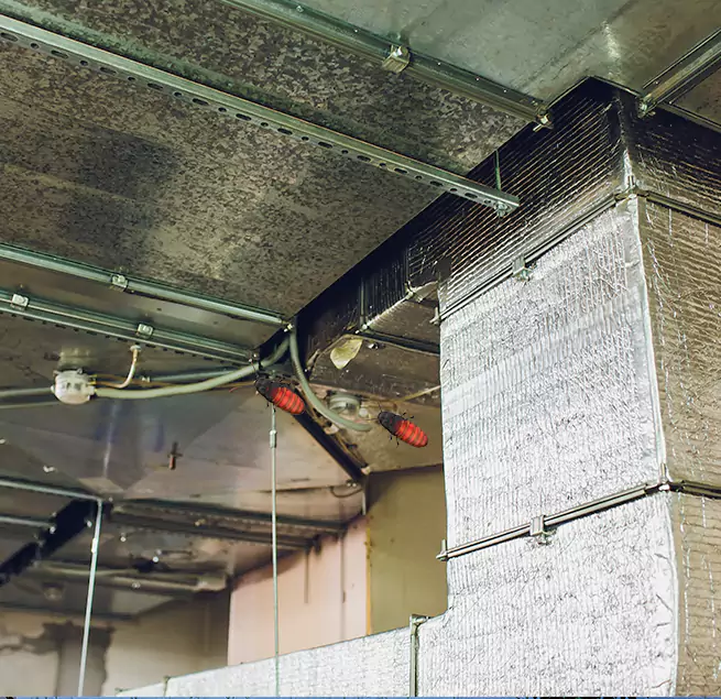 Why Homeowners & Businesses Trust Us in South Gate, CA?