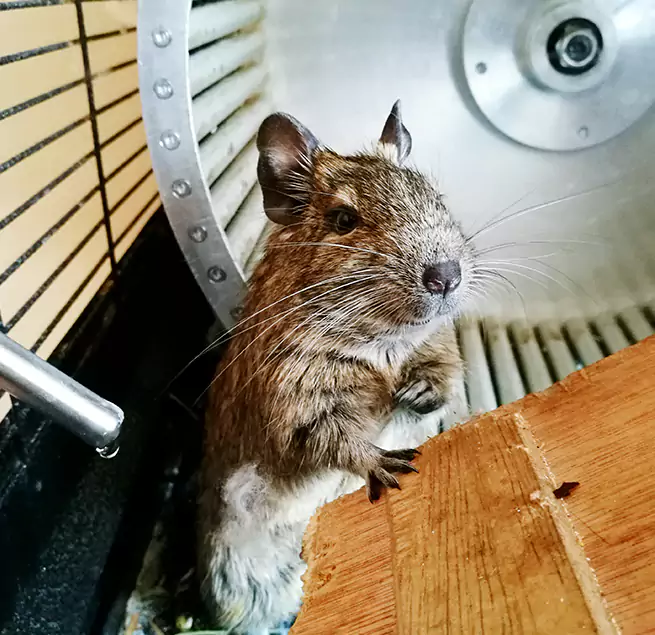 Why Homeowners & Businesses Trust Us South Gate, CA?