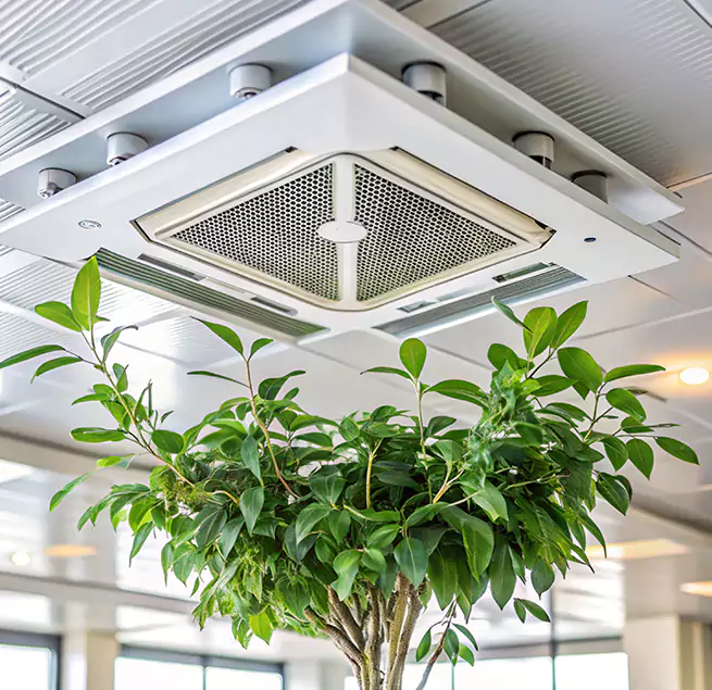 Why Homeowners & Businesses Trust Us in South Gate, CA