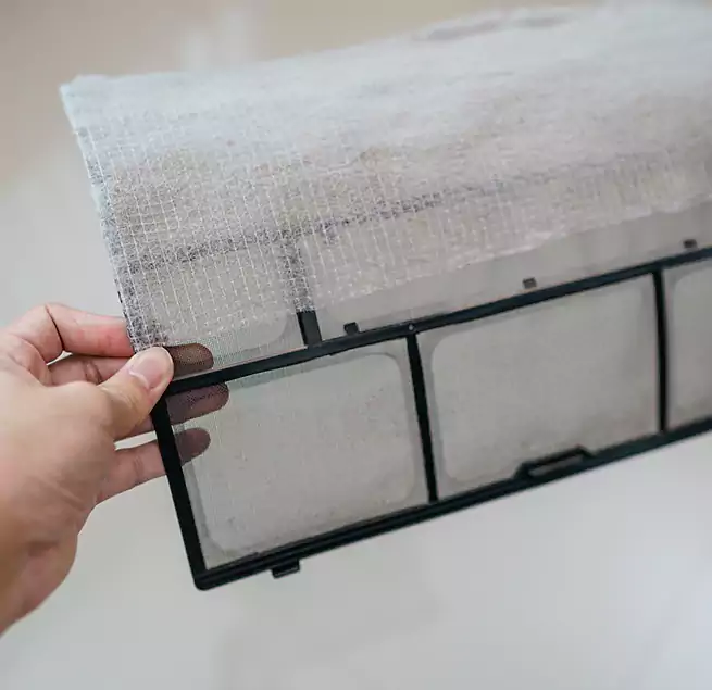 Why Homeowners & Businesses Trust Us in South Gate, CA?