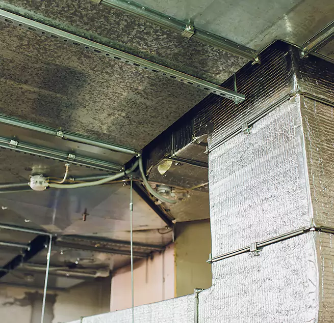 Why Homeowners & Businesses Trust Us in South Gate, CA?